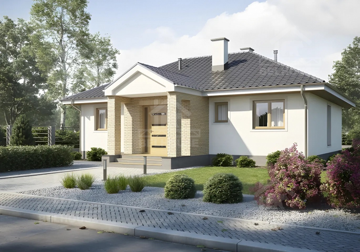 Каркасный дом, проект №222