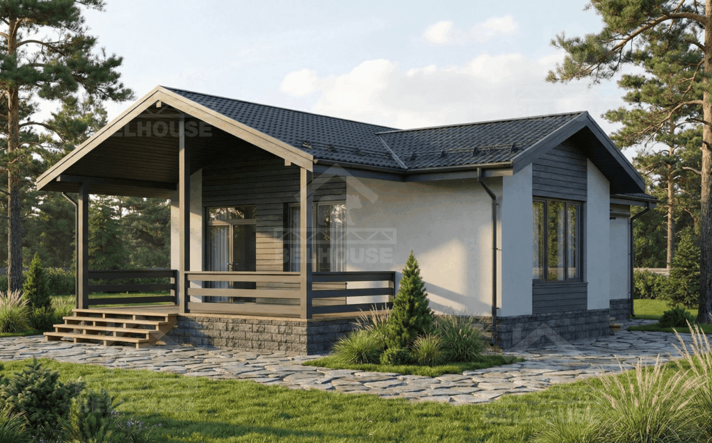 Дмитровский район 2